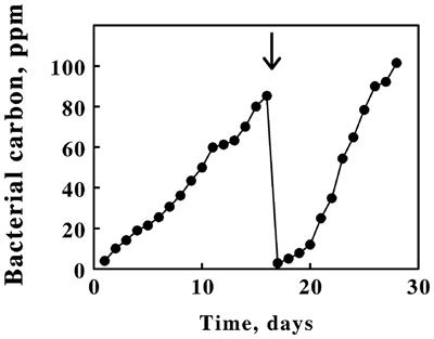 Homogeneous Cytochrome 579 Is an Octamer That Reacts Too Slowly With Soluble Iron to Be the Initial Iron Oxidase in the Respiratory Chain of Leptospirillum ferriphilum